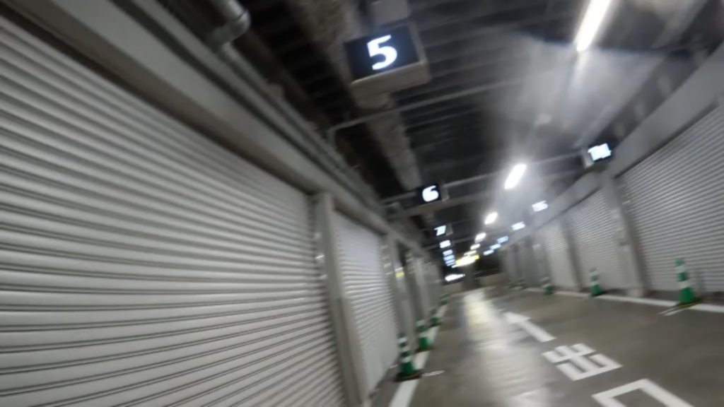 ソウルタッチ　JALエコノミークラスで日帰りソウル旅